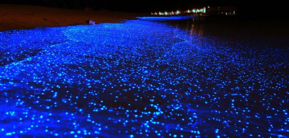 Maldivas de noche